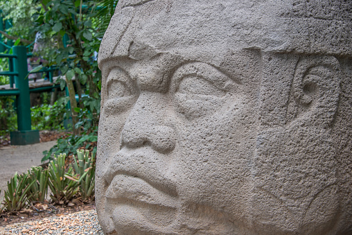 stone head from the Olmec culture found in Tabasco Mexico