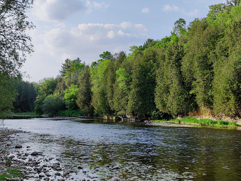 The river and forest in the environmental conservation park in the city of Elora, Ontario, Canada.