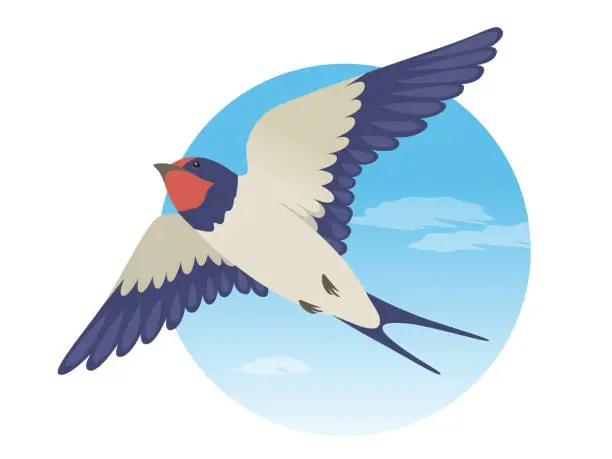 Vector illustration of Flying swallow one point material_vector illustration