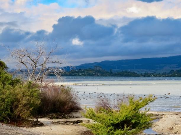 istock Lake Rotorua after Rainstorm 2026812449