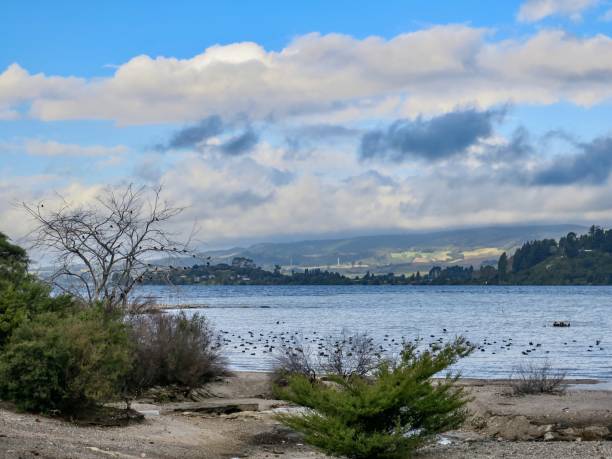 istock Lake Rotorua after Rainstorm 2026819707