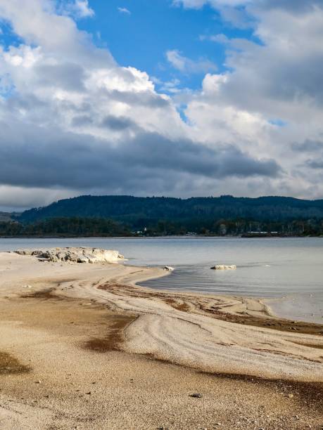 istock Geothermal Beach at Lake Rotorua 2026821238