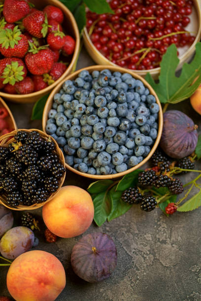 raspberry, bilberry, gooseberry, cranberry and currant. harvest concept. top view, high resolution product. - berry fruit currant variation gooseberry imagens e fotografias de stock