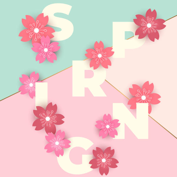 istock Vector illustration with pink cherry flowers and lettering Spring isolated on colorful background. Design for greeting card, print, invitation template, banner, poster, advertising, flyer 2026911264