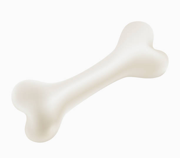 białe kości na białym tle - kość stock illustrations