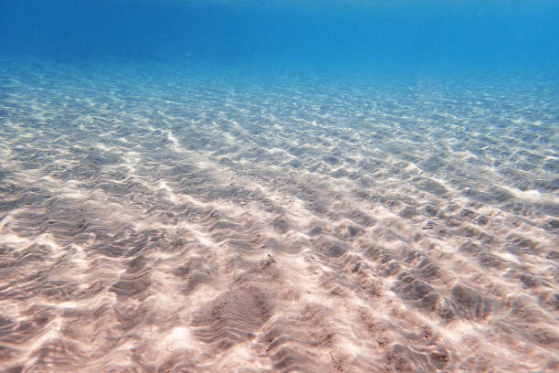 sea sand annd water from the makadi bay Egypt