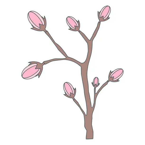 Vector illustration of Simple Sakura cherry blossom. Spring promotion