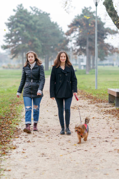 istock Two sisters walking with their dog in public park in fall 2026999673