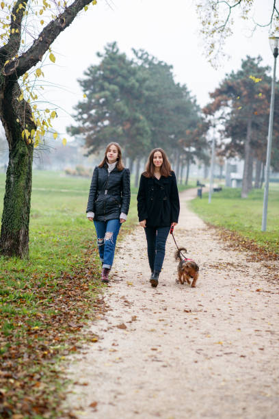 istock Two sisters walking in public park with their dog in fall 2026999675