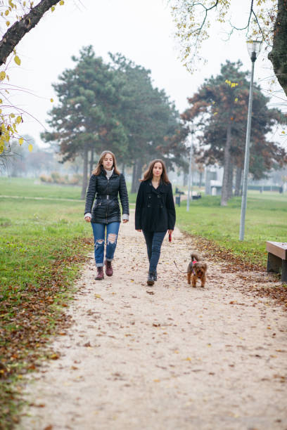 istock Sisters taking their dog for a walk in public park in fall 2026999702