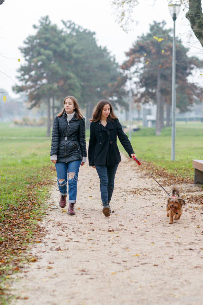 istock Sisters walking with their dog in public park in fall 2027000206
