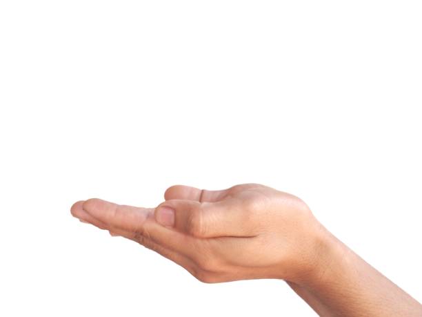 istock The man's hands open and stretched forward with two hands. On a white background business concept. 2027016628