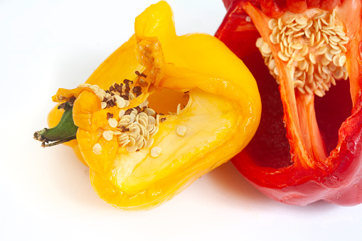 Red and yellow bell peppers that are old and spoilt, isolated on white with copy space