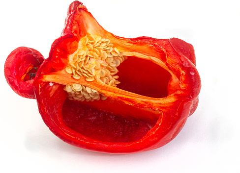 Spoilt Red bell pepper cut in half isolated on white with copy space