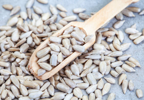 istock shelled sunflower seeds 2027026256