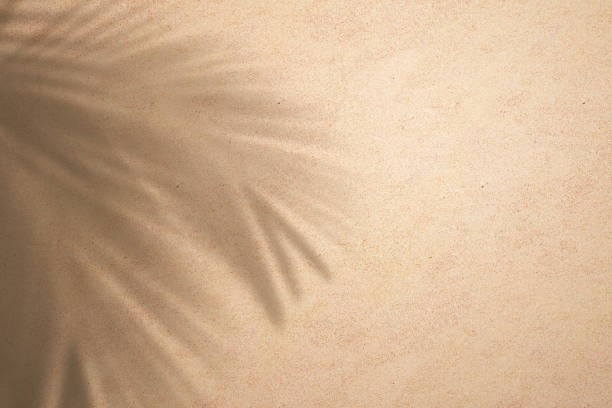 istock Summer nature sand beach tropical vacation background with abstract shadow coconut leaf on sunlight paradise floor ocean holiday island sea travel natural landscape minimal top view sunny day concept. 2027057629