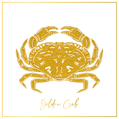 Gold Colored Watercolor Crab Background. Sealife, Coastal, Tropical Design Element.