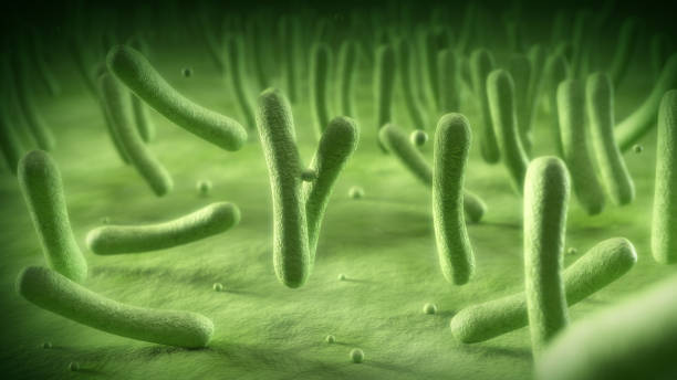 istock Bacteria cell under microscope, Healthcare and medical background, 3D rendering 2027072990