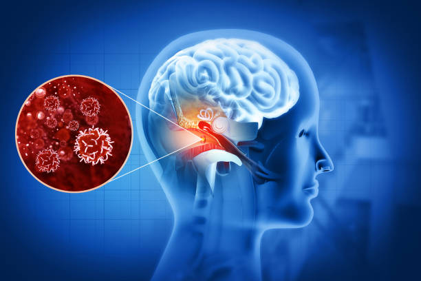 istock Human ear virus infection. 3d illustration 2027094134