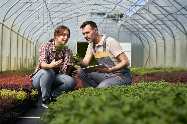 istock Two caucasian botanists crouching in the greenhouse and using digital tablet 2027095722