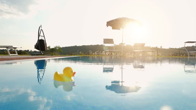 Yellow rubber duck floating in a swimming pool