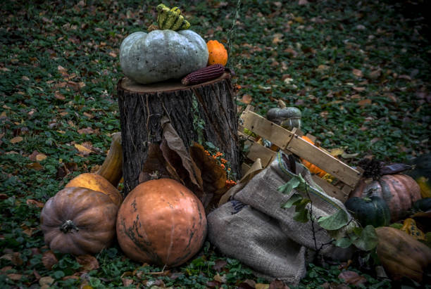 istock Autumn Diorama in a Park 2027098890