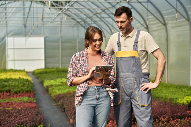 istock Two caucasian botanists standing in the greenhouse and using digital tablet 2027099952