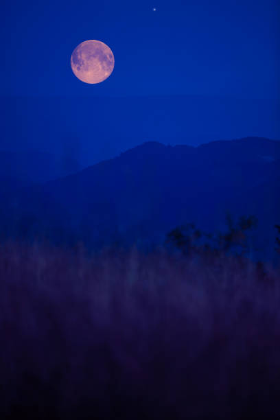 istock Full Moon, star and landscape scenery silhouettes. 2027110497