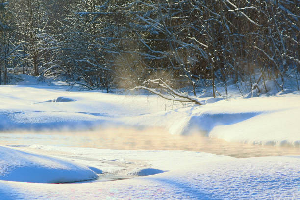 Frosty fog over a flowing river in a forest area outside the city.