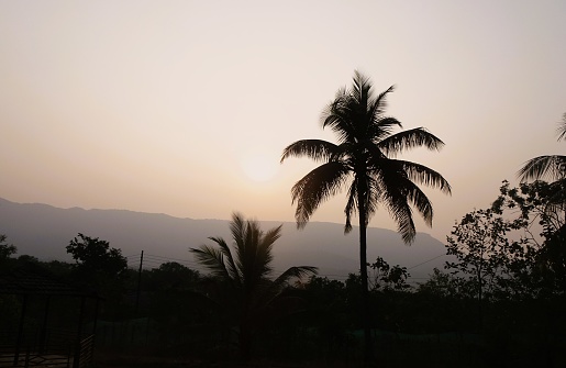 Silhouetted Coconut trees juxtapose against a breathtaking mountain sunset