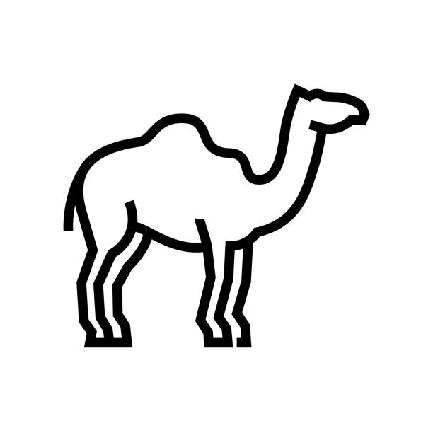 ilustrações de stock, clip art, desenhos animados e ícones de camel line icon - cor camel