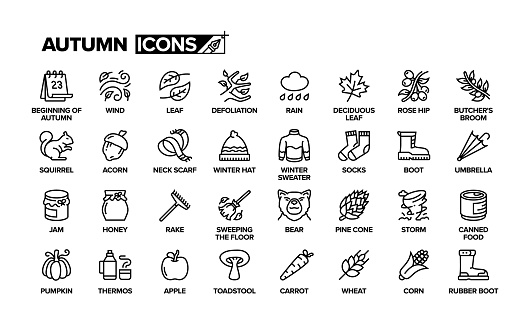 Autumn Line Icon Set