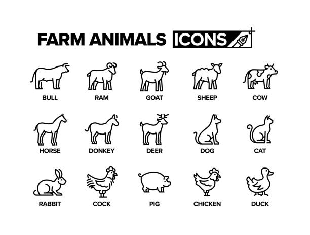 illustrazioni stock, clip art, cartoni animati e icone di tendenza di set di icone della linea animali da fattoria - cervo cervide