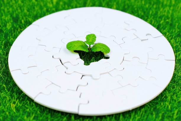 istock Round Jigsaw Puzzle with a Green Sprout in the Center 2027170664