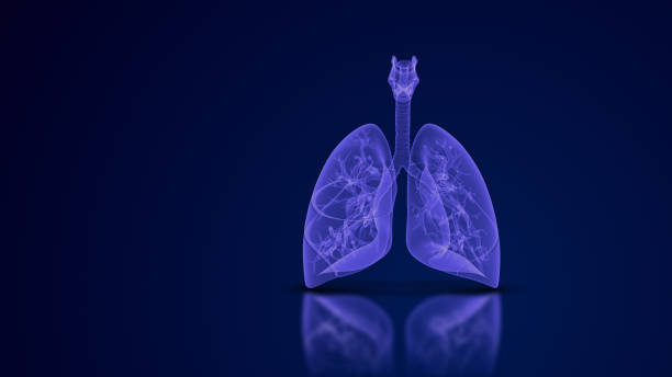 istock Human lungs respiratory system medical background 2027171706