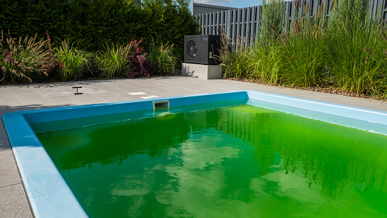 Green water in a home pool in the backyard of a house. Bloomed due to incorrect dosage of chemicals.