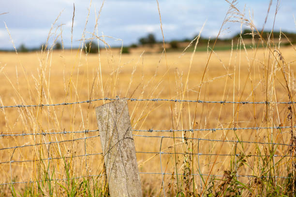 istock Fence on a field,  Warwickshire, England 2027177019