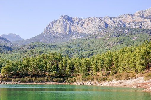 Tranquil lake with snow-capped mountains and pine trees in national park under clear blue sky