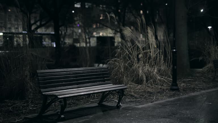 Bench in Park, Wind, Lights, Night, Park