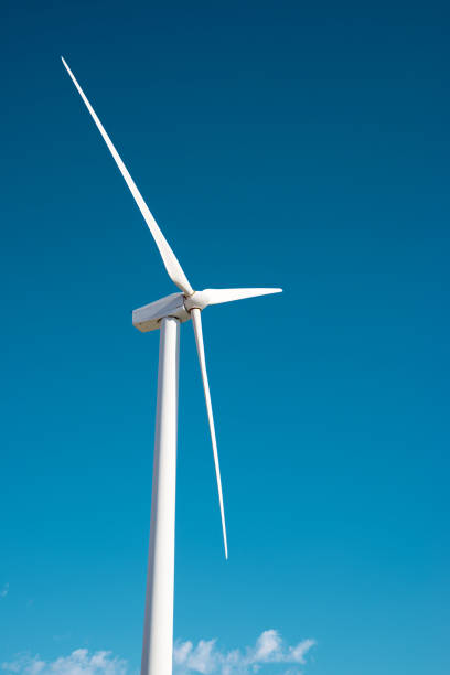 Wind turbine generator for sustainable electricity production