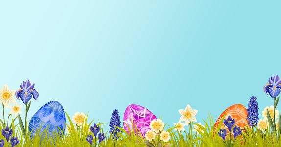 Easter banner with eggs in the grass and flowers on a blue background, iris, hyacinth, daffodil, primrose, holiday banner with space for text, card, illustration for invitation