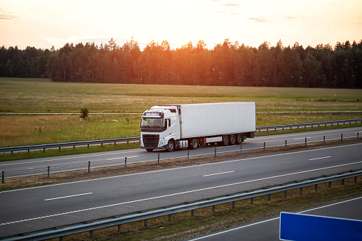 A modern truck with a refrigerator semi-trailer with refrigeration equipment transports flower products while maintaining the temperature regime against the backdrop of sunset and forest. Copy space for text, intercity transportation