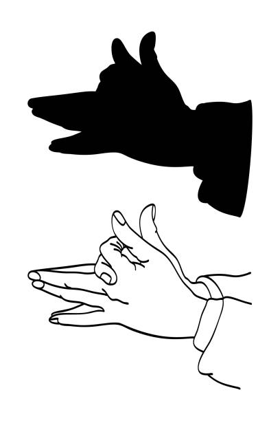 Shadowgraph Hand 10+ Black And White Shadowgraphy Stock Photos, Pictures & Royalty-Free ...