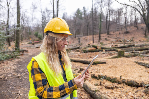 istock Female environmentalist researcher with data gathering equipment in a storm damaged forest 2027261087