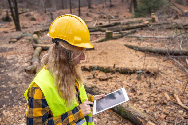 istock Female environmentalist researcher with data gathering equipment in a storm damaged forest 2027261103
