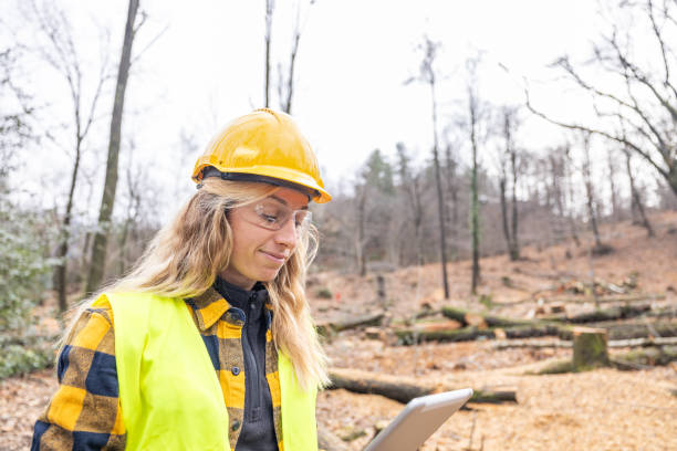 istock Female environmentalist researcher with data gathering equipment in a storm damaged forest 2027261412