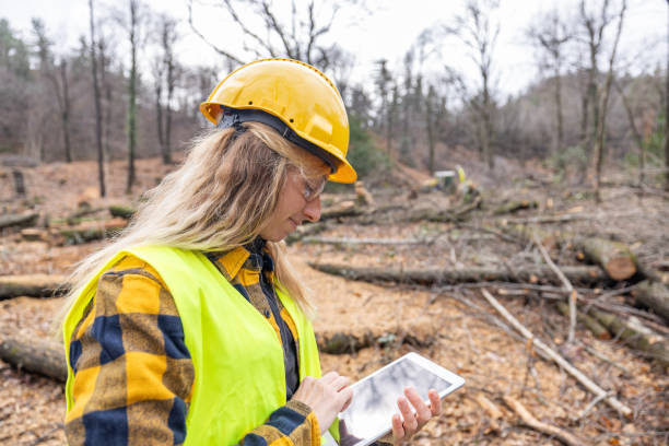 istock Female environmentalist researcher with data gathering equipment in a storm damaged forest 2027261496