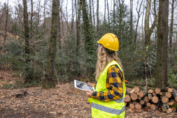 istock Female environmentalist researcher with data gathering equipment in a storm damaged forest 2027261637
