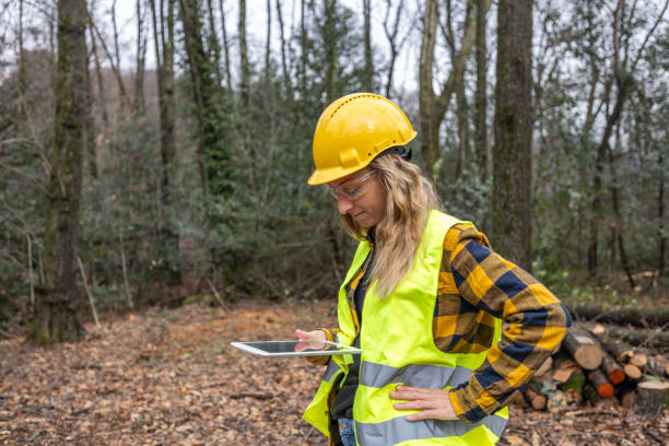 istock Female environmentalist researcher with data gathering equipment in a storm damaged forest 2027261641