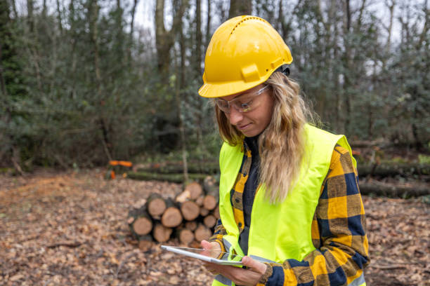 istock Female environmentalist researcher with data gathering equipment in a storm damaged forest 2027261664